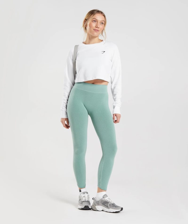 Women's Gymshark Pause Seamless Leggings Light Green | NZ 4DSUFQ